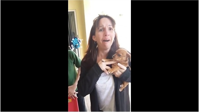 Woman receives new puppy birthday surprise