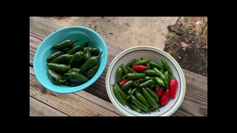 Prepping $$$ Farmer knowledge