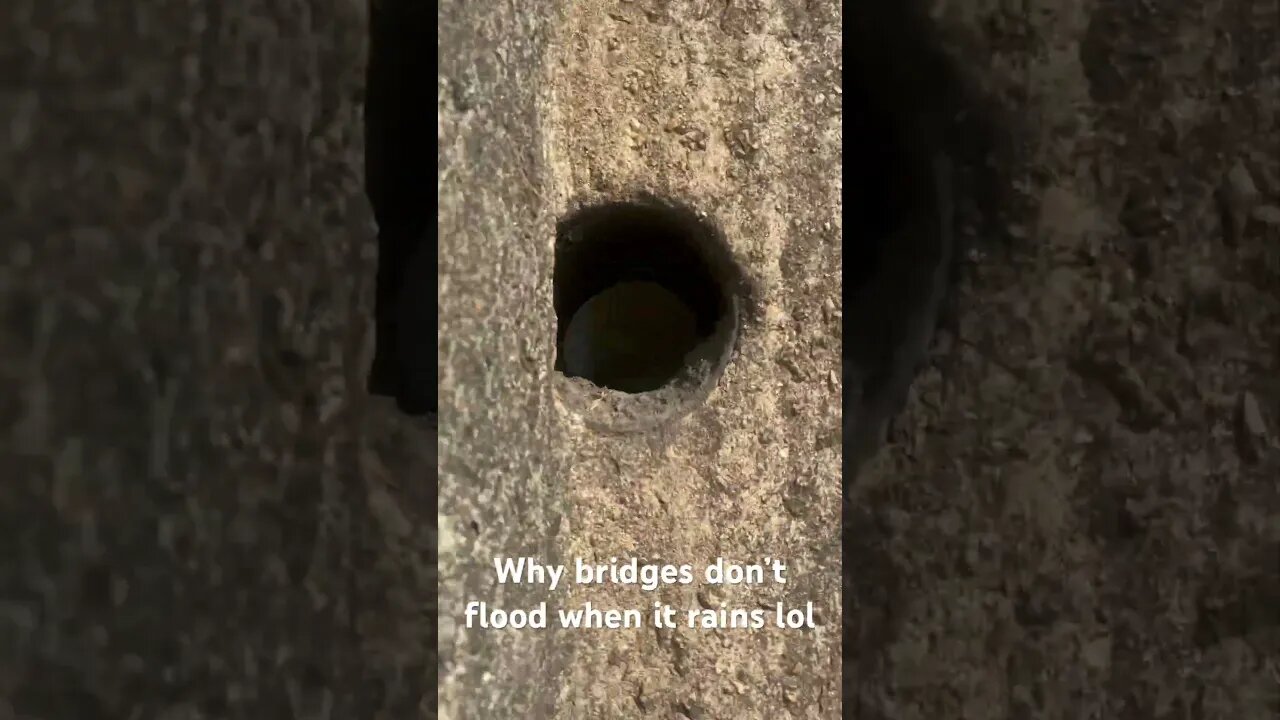 Ever wondered why bridges don’t flood when it rains? #genius