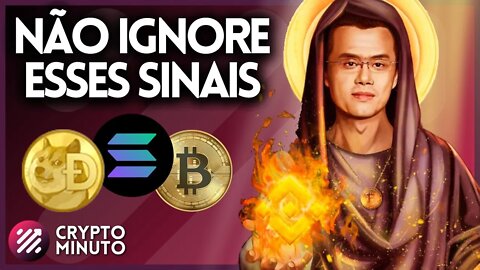 BINANCE TRANSFERE 2 BI EM BTC - SOLANA NÃO VAI A ZERO - ADA - DOT - BNB - DOGE - SOL - CRIPTO HOJE