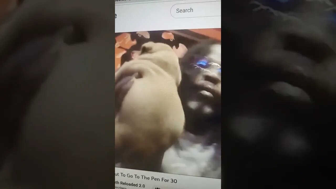 Tyra Rough With Puppy #3