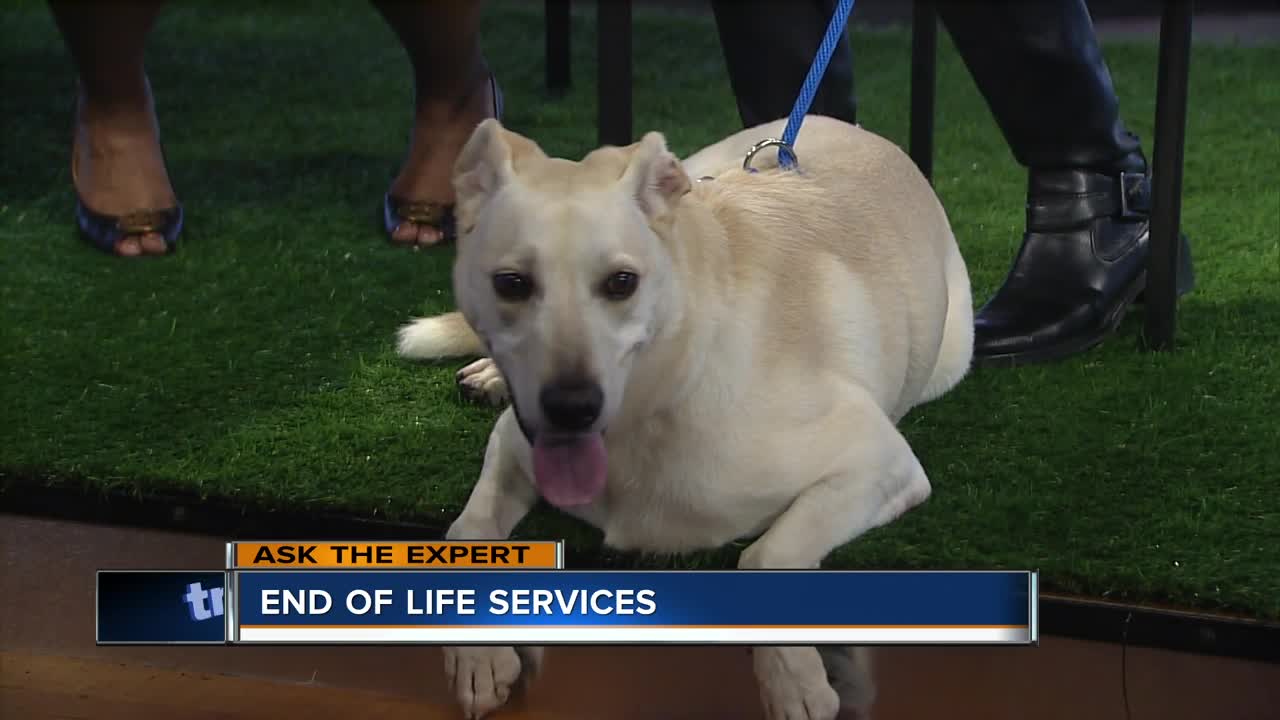 Ask the Expert: End-of-life services for our pets