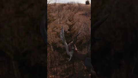 We found our CRAZIEST SHED Ever! Wild Kansas Buck Shed!