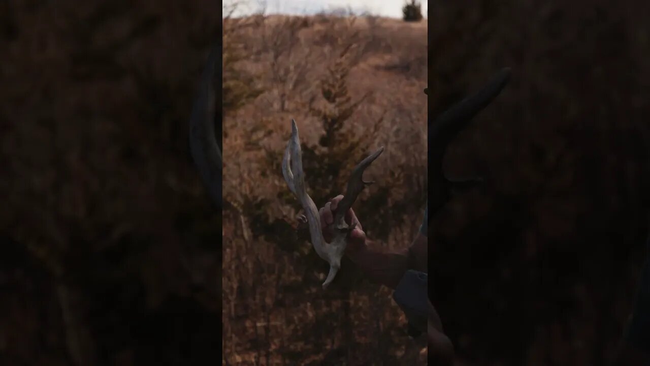 We found our CRAZIEST SHED Ever! Wild Kansas Buck Shed!