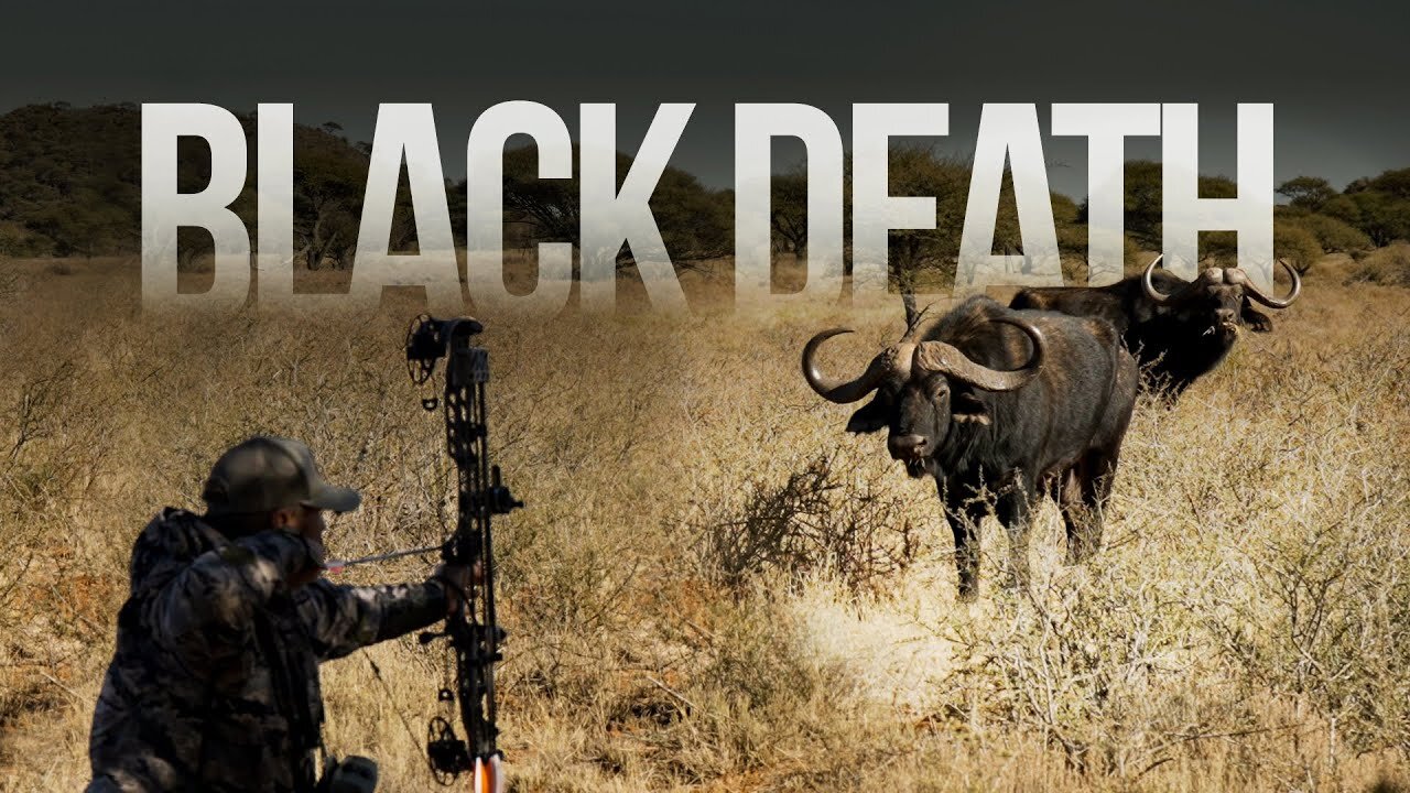 BLACK DEATH | Face to Face with Africa's Most Dangerous Game