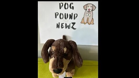 DOG POUND:DEBT CEILING