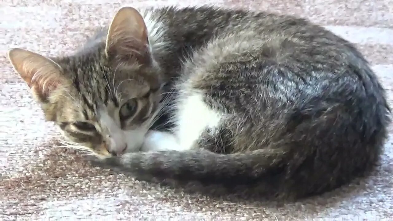 I Won't Look at You