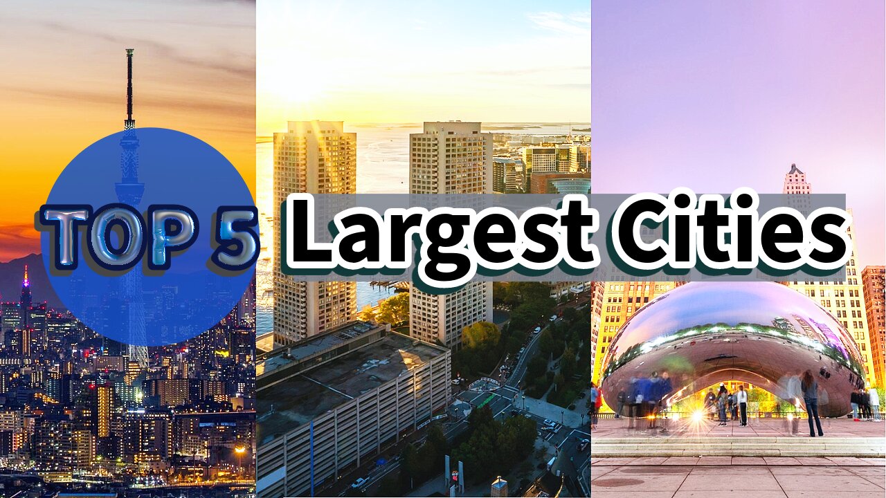 Top 5 Largest Cities In The World by land area