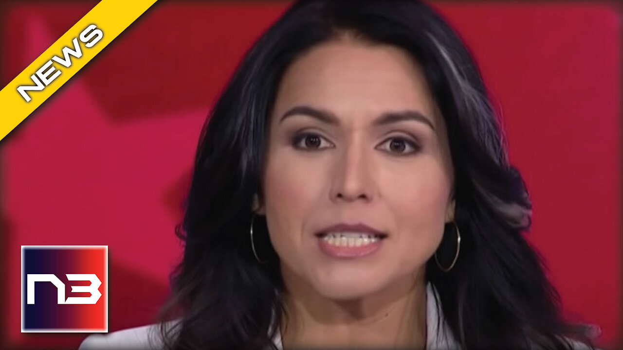 Gabbard Tells Us What The Establishment Elite Is Truly Afraid Of Us Saying