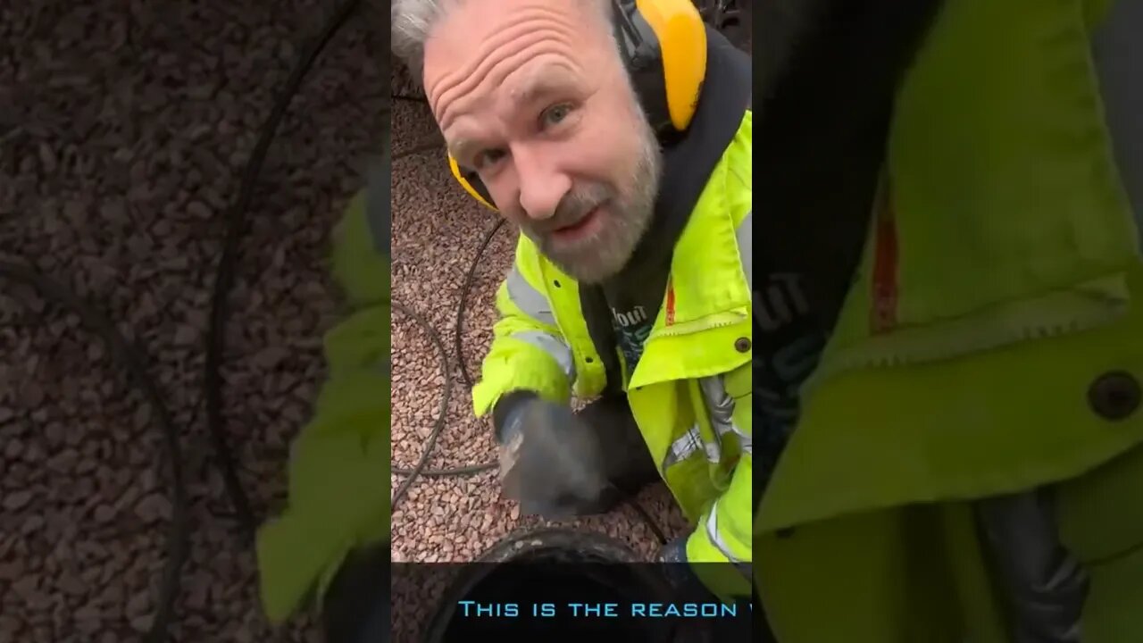 MUST WATCH if you’re using RAT FLAP!! #pestcontrol #ratcontrol #drainspecialist