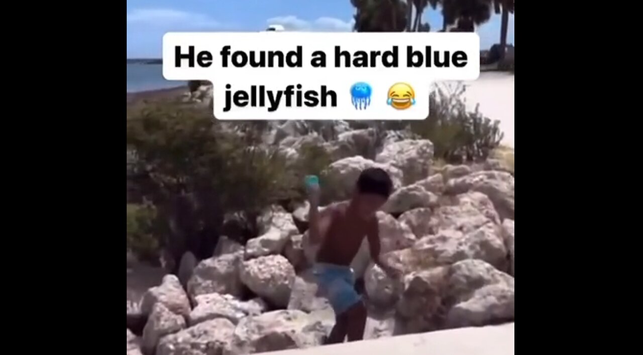 He Found A Hard Blue Jellyfish