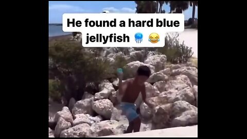 He Found A Hard Blue Jellyfish