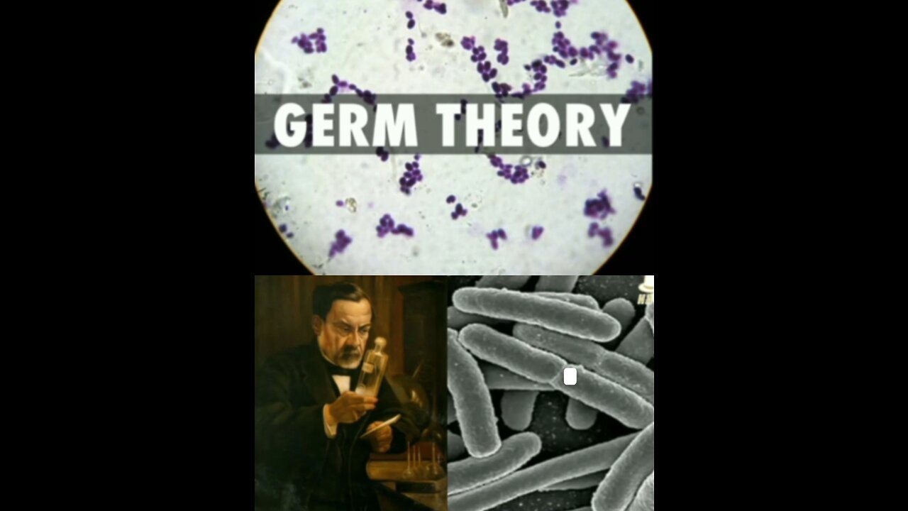 Terrain theory completely debunks germ theory #FUCKtheJAB