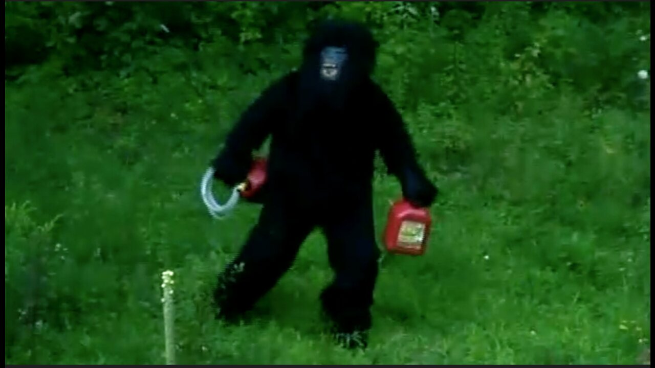 BIGFOOT CAUGHT STEALING GAS AND FUEL OIL