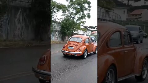 Fusca Marrom