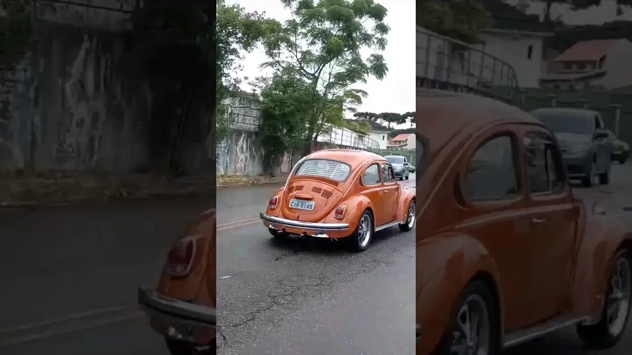 Fusca Marrom