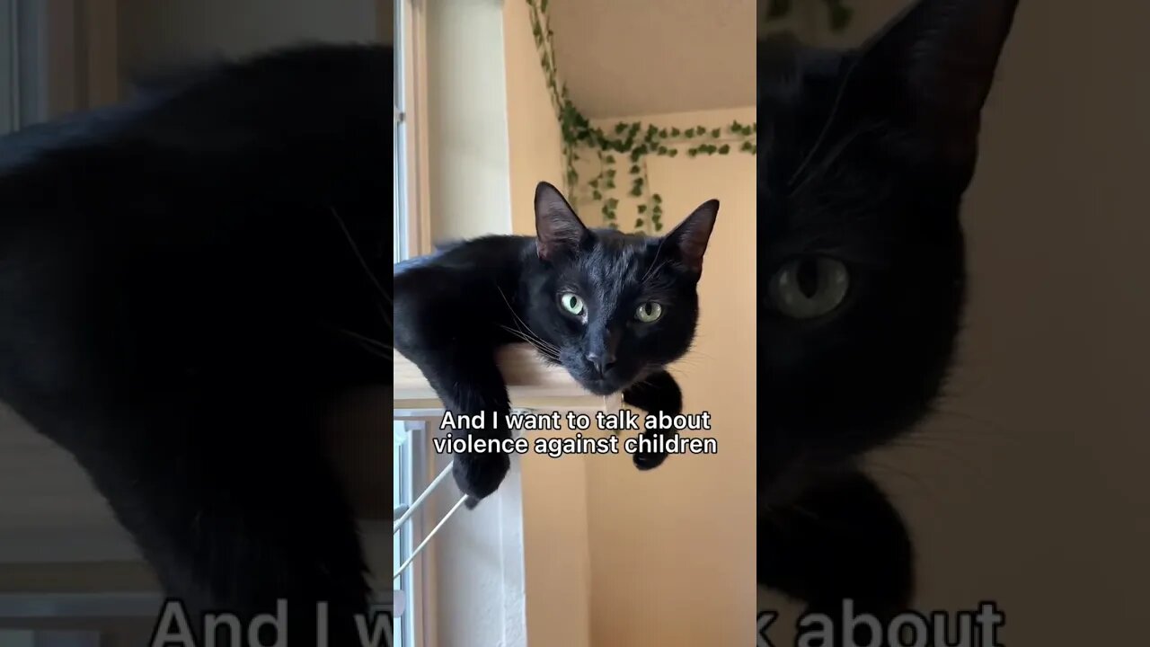 ❤️SHARE/ 🎙COMMENT/ 🔄REPOST/ 🔗COPYLINK/ 🥰FOLLOW/ XXX #cat #blackcat #leonthecatdad #relateable