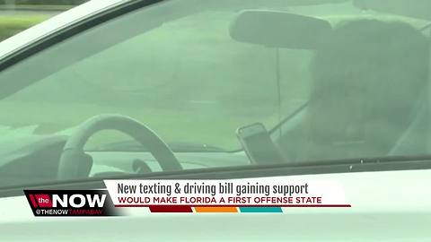 New texting and driving bill gaining support