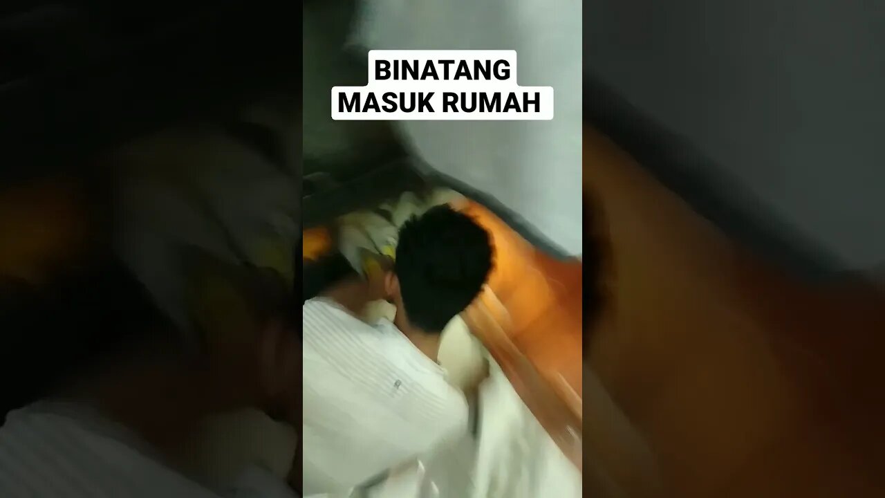 TERJADI KEJAR KEJARAN