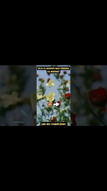 JB Hain - feel [Arcade Release]