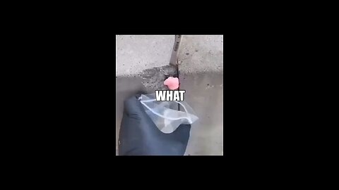 WHAT