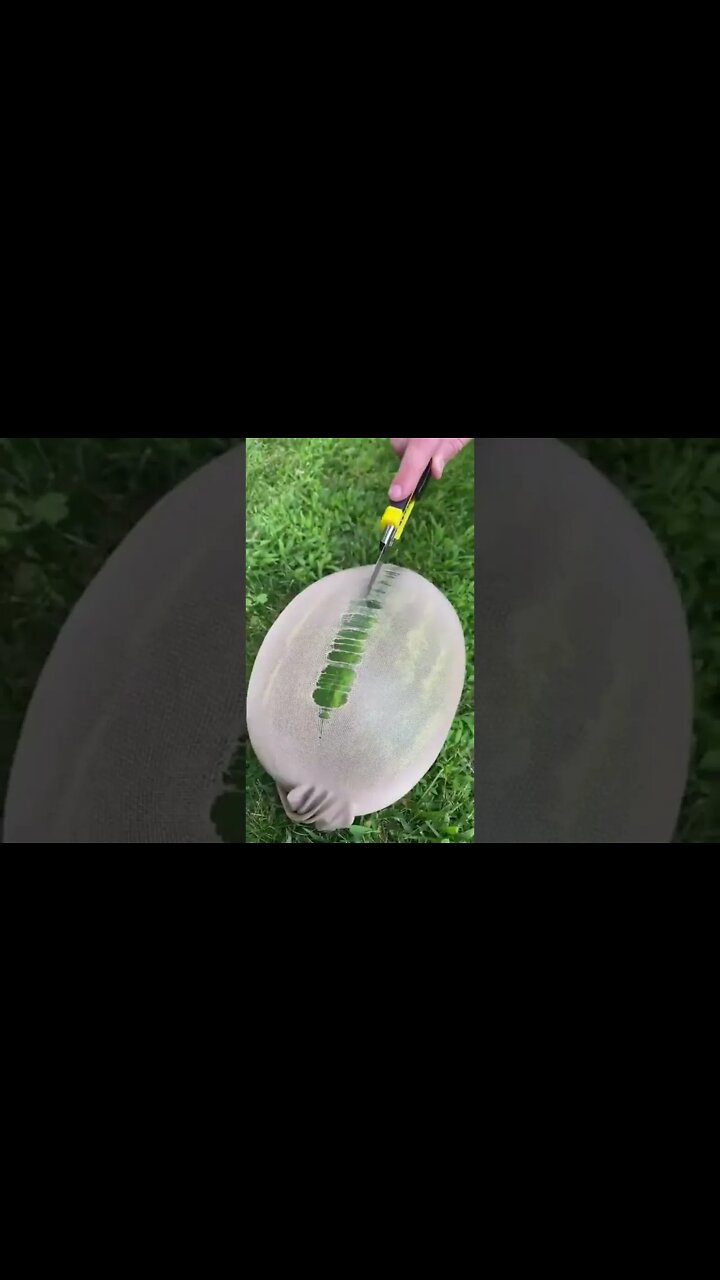 Best Oddly Satisfying Video for Stress Relief #Shorts #oddlysatisfying ...
