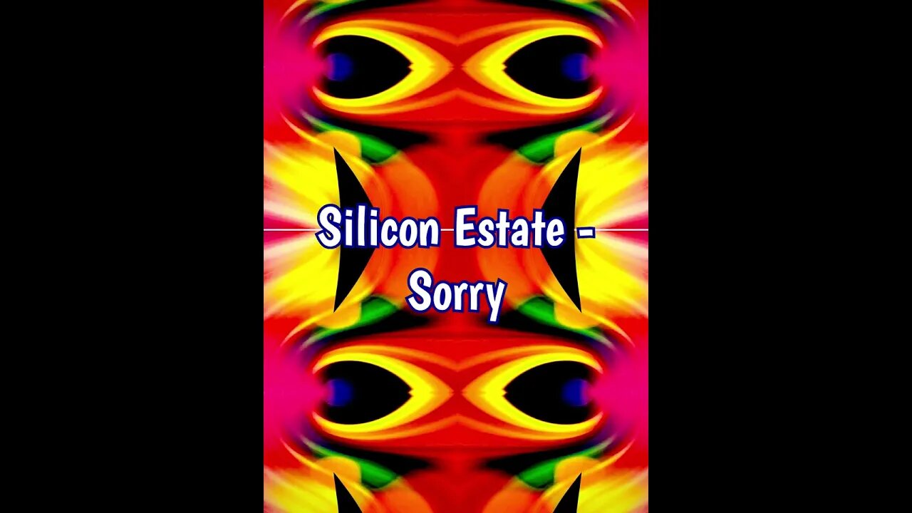 Silicon Estate - Sorry