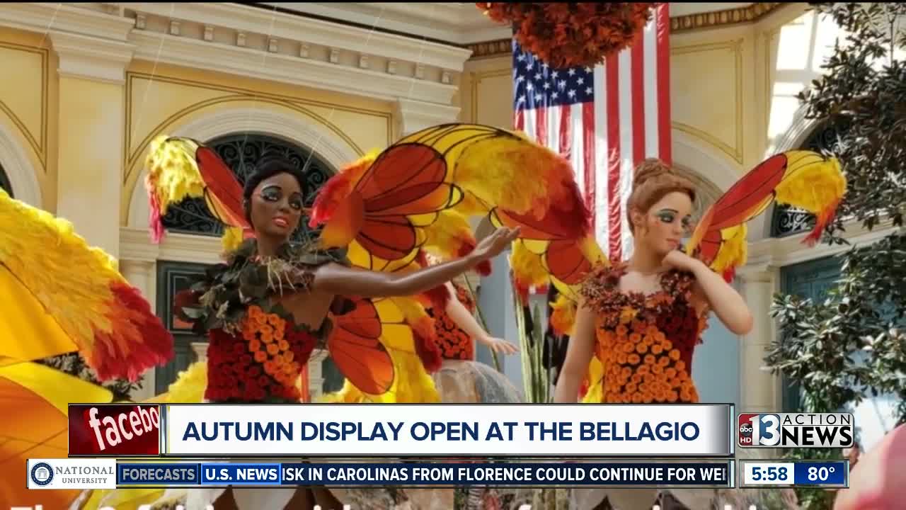 Fall display at Bellagio