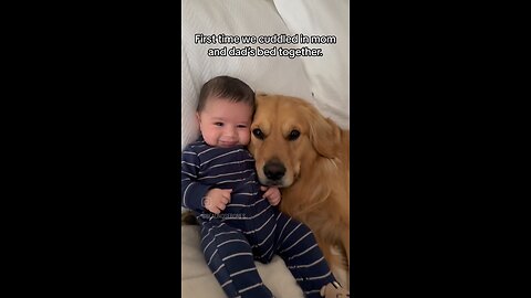 love of Dog with the baby is unconditional.