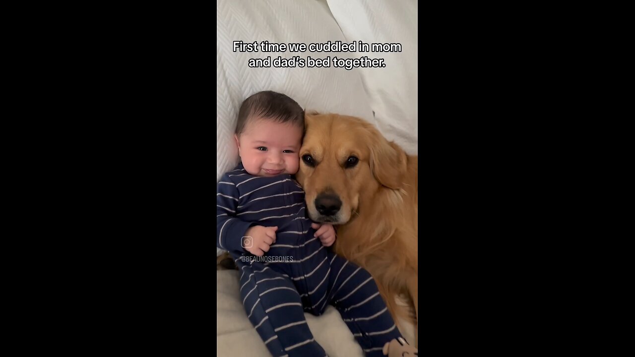 love of Dog with the baby is unconditional.