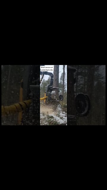 Amazing and Trending videos on YouTube 2022