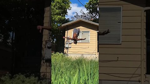 Demon Back Jesus Flip #fitnessshorts #bodybuilding #gymlife #backflip #baki #gymnast #fitnessaddict