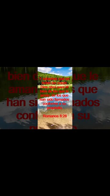 Verso Del Día | Lectura Inspiradora Para Empezar El Día. | 85