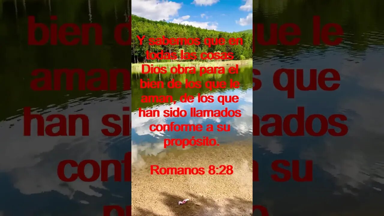 Verso Del Día | Lectura Inspiradora Para Empezar El Día. | 85