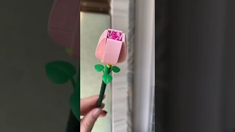 flower bouquet Video By clorischan8 #Shorts