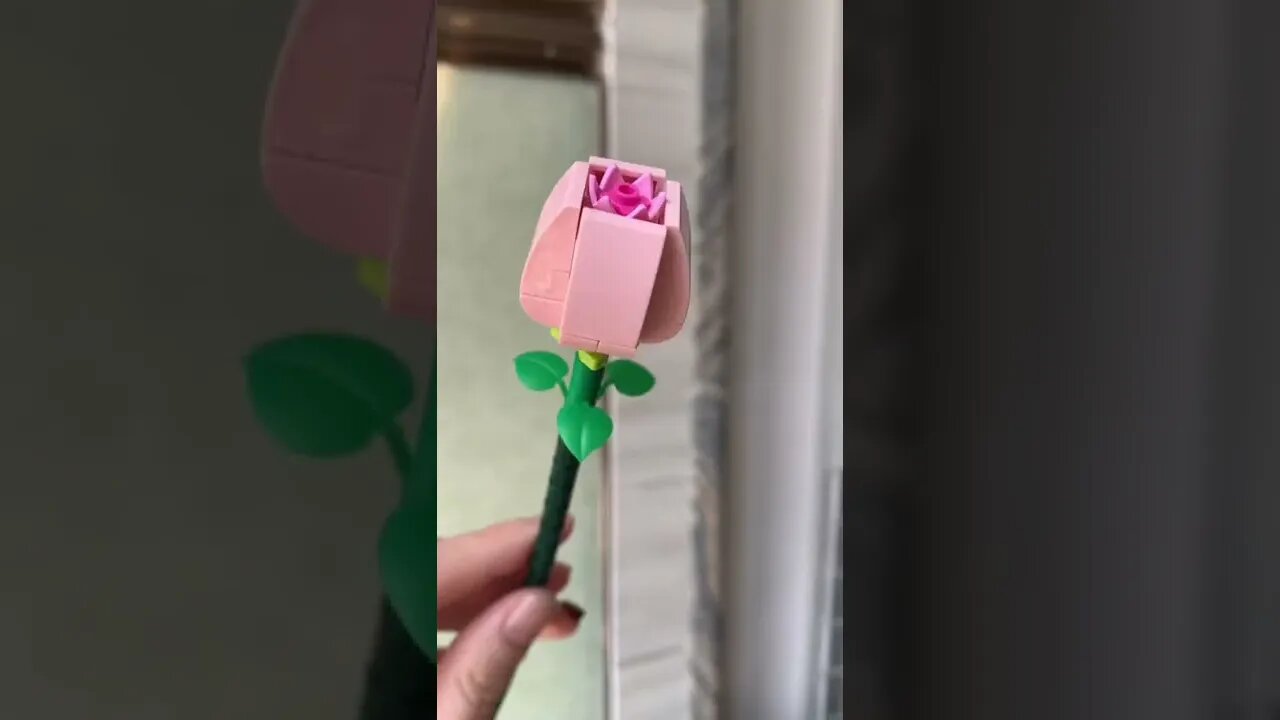 flower bouquet Video By clorischan8 #Shorts