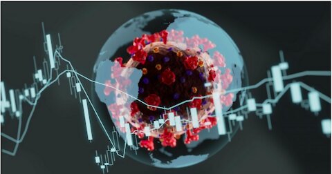 Dr. Michael Palmer, Catherine Austin Fitts | Understanding Medical & Economic COVID Motives