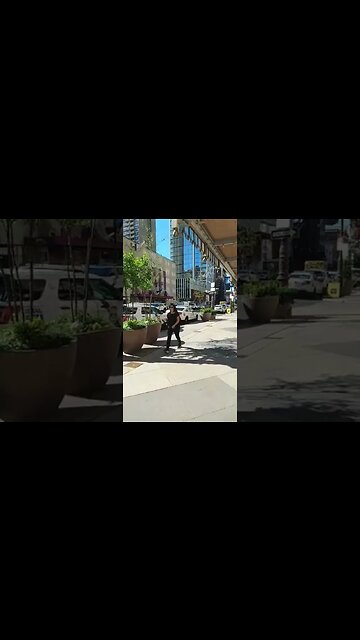 gay pride prep short