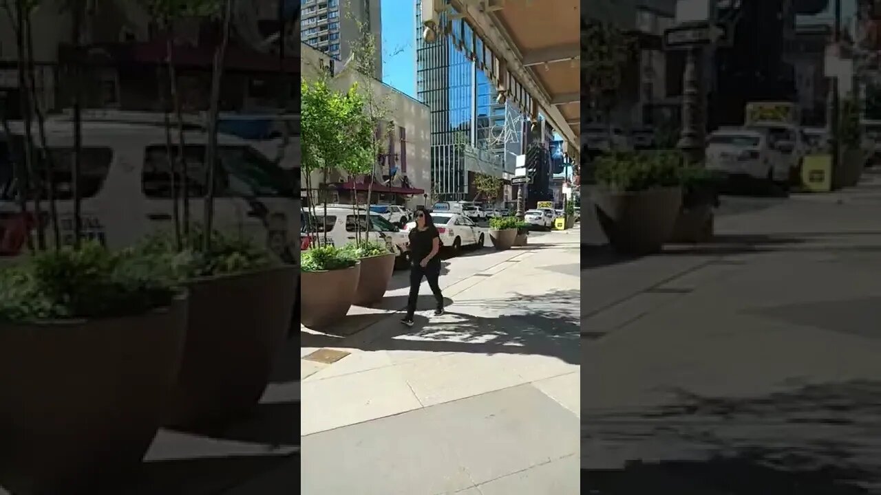 gay pride prep short