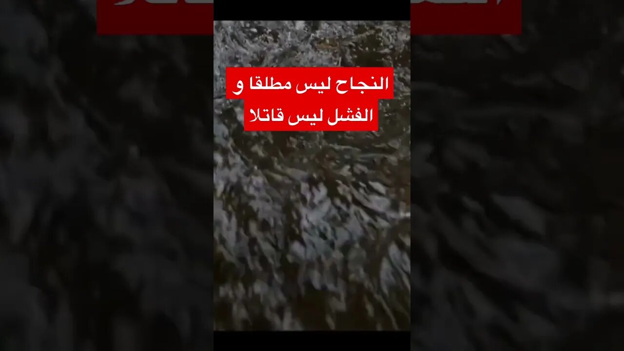 مقوله ونستون تشرشل عن النجاح