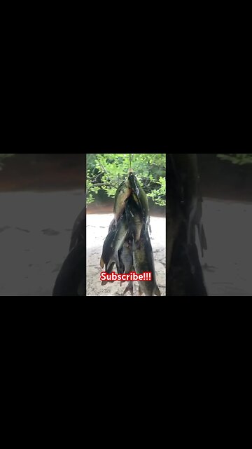 Bottom Fishing the River! #riverlife #creekfishing