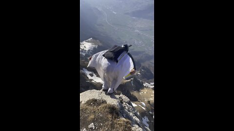 Wingsuit Base - 3, 2, 1, cya