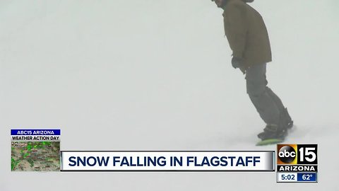 Snow falling in Flagstaff