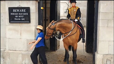 She runs when the horse made its move #horseguardsparade