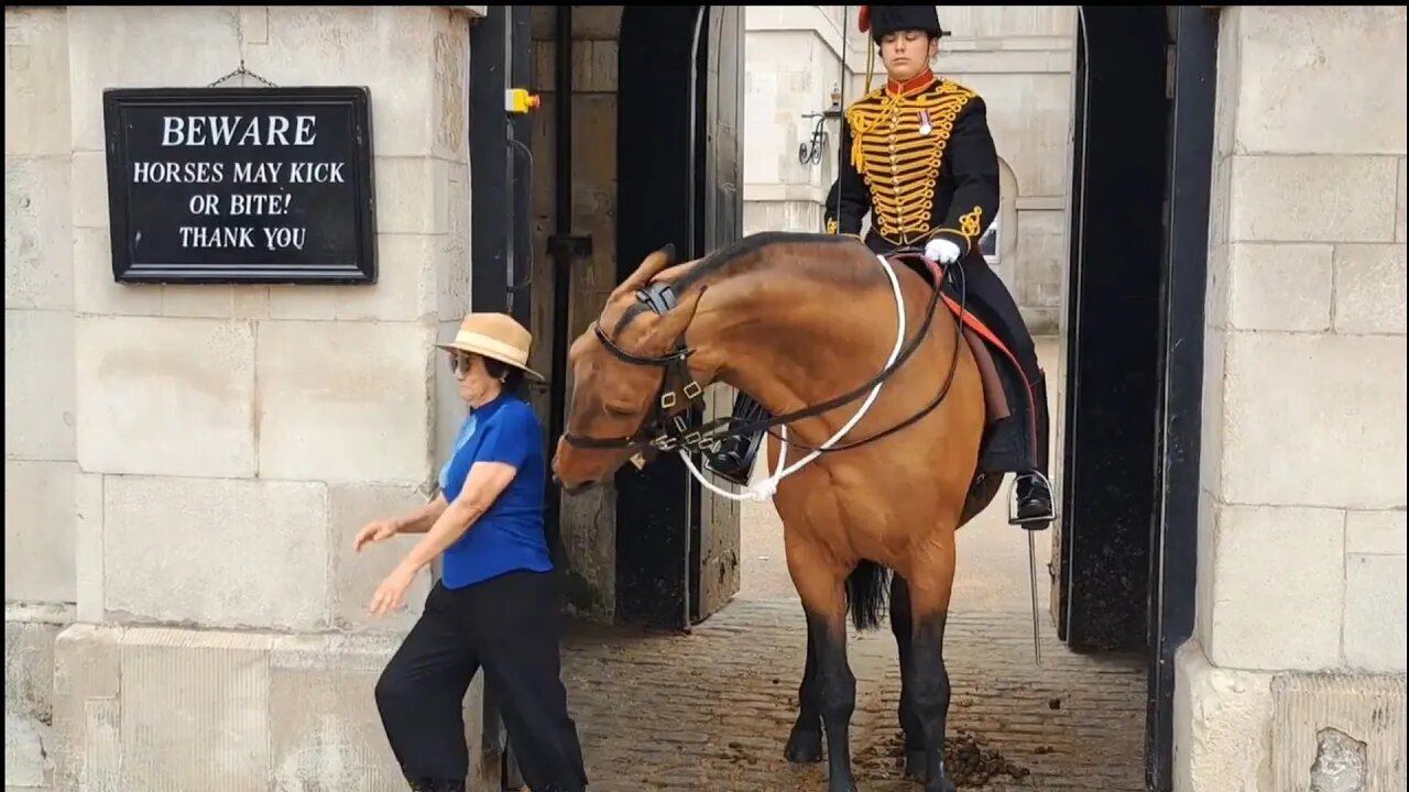 She runs when the horse made its move #horseguardsparade