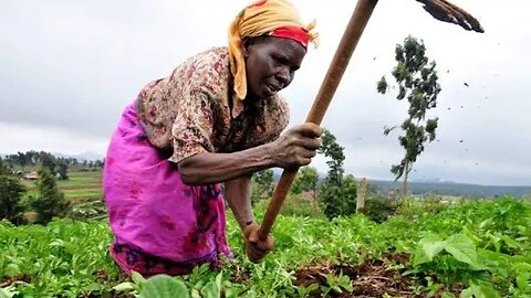 AFRICA MARIA-BREAKING THE MATRIX Agricultural geopolitics in Africa