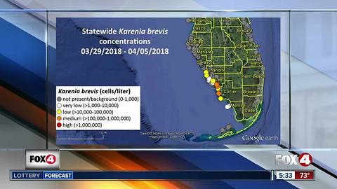 Red Tide causing fish kills in parts of Southwest Florida