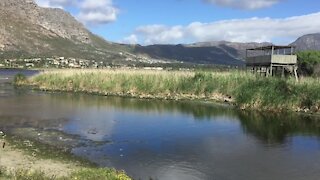 CAPE TOWN - South Africa - Canal Nets in Sand Rive (Video) (89B)