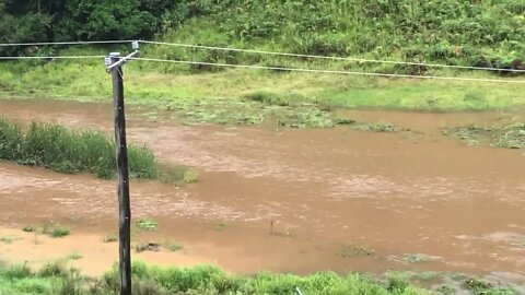 Second flood of 2022 waters rising. From a distance and then zoomed in. 2nd Mar