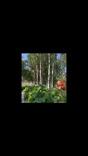 Park in Moscow, Russia.